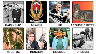 The CIA’s Most Notorious Operations Explained Profile