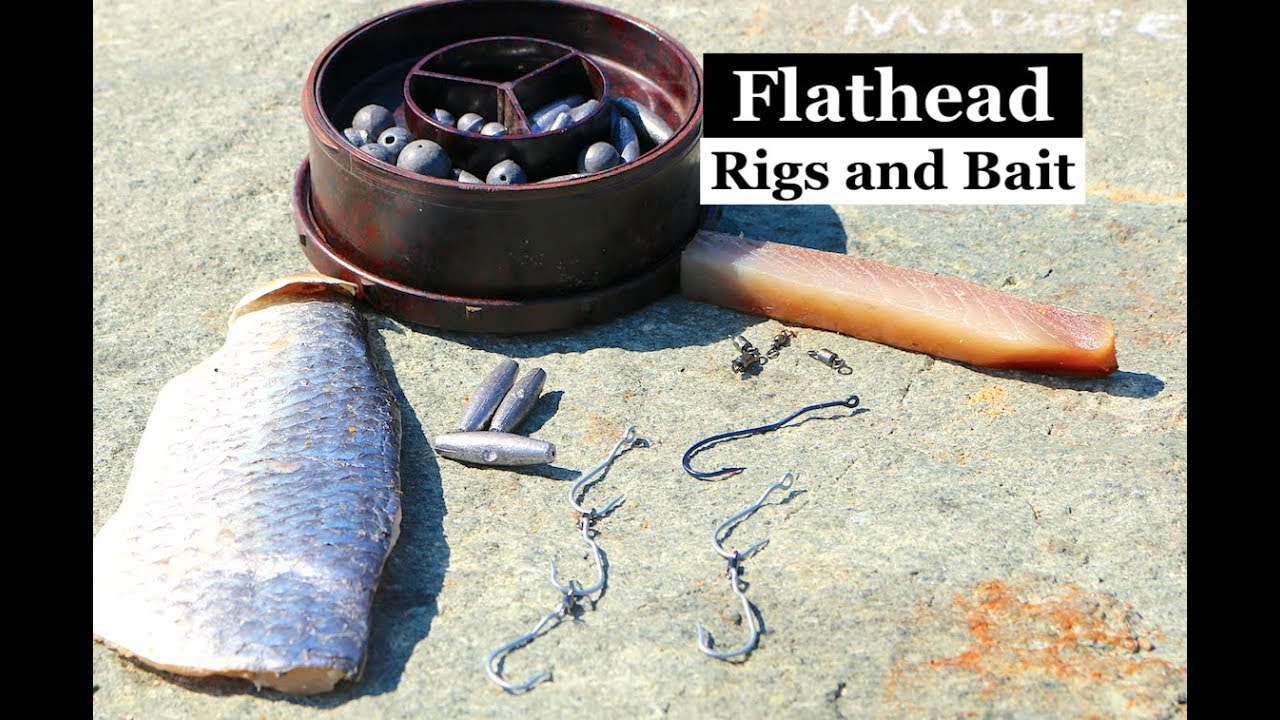 FLATHEAD, RIGS and BAITS, fishing with fresh BAITS and the best