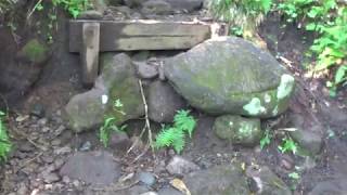 (mikayama00)尾瀬 燧ヶ岳 御池登山道 4合目~5合目までの登山道の様子