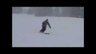 Ski Lesson 2,  Techniques for Short Turns, Transition to Brushed Carving, Harald Harb