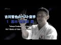古川哲也のベスト空手 形 撃砕第一・撃砕第二・サイファ・セーパイ・セーサン・クルルンファKARATEDO KATA