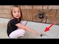 🕷 GIANT SPIDER AT HOME!