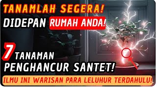 Jiwa Terpilih💫 TANAM SEGERA !! 7 Tanaman Penghancur : SANTET😱, Sihir dan Ilmu Hitam!😱🚀