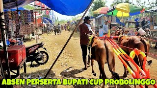 GREBEK TEROP PESERTA KERAPAN SAPI BUPATI CUP PROBOLINGGO 2023