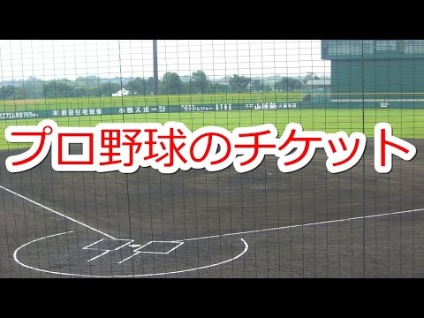 【感動実話】プロ野球のチケット