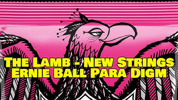 New Strings Day - Swapping Old Elixir Optiweb for Ernie Ball Paradigm