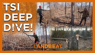Simplify Timber Stand Improvement For AMAZING Results!