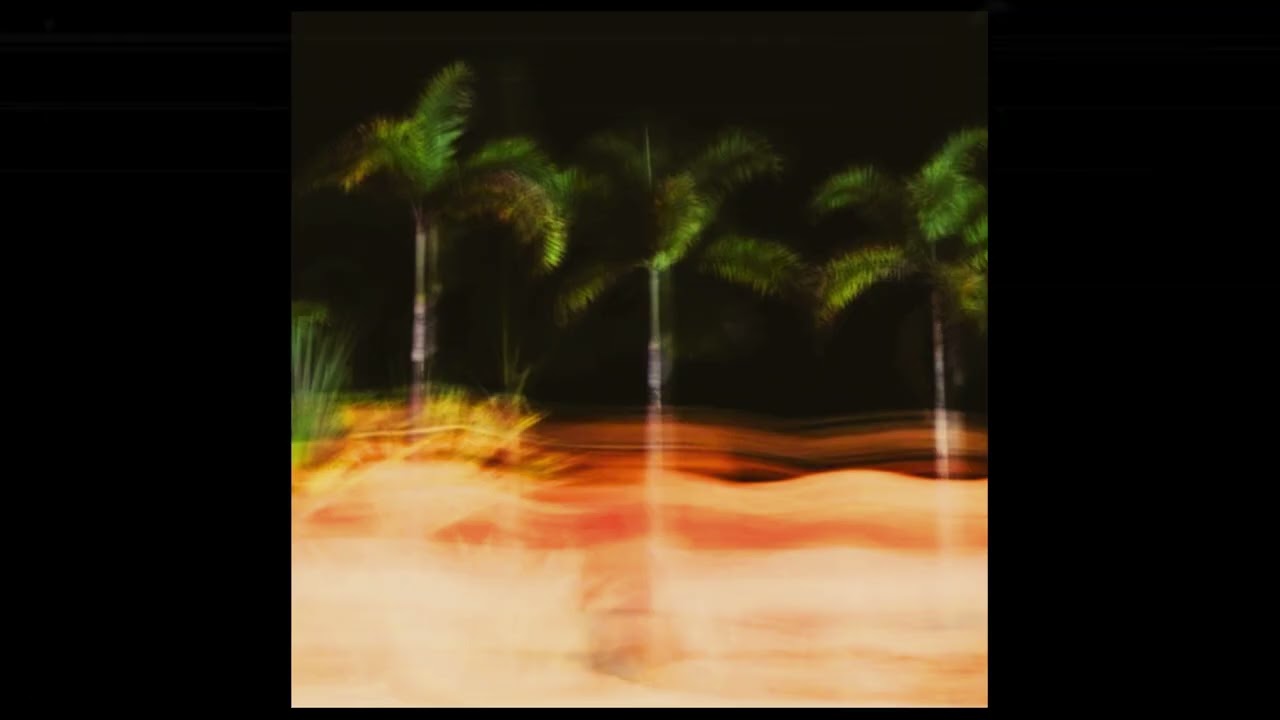 PALM TREES AROUND YOU