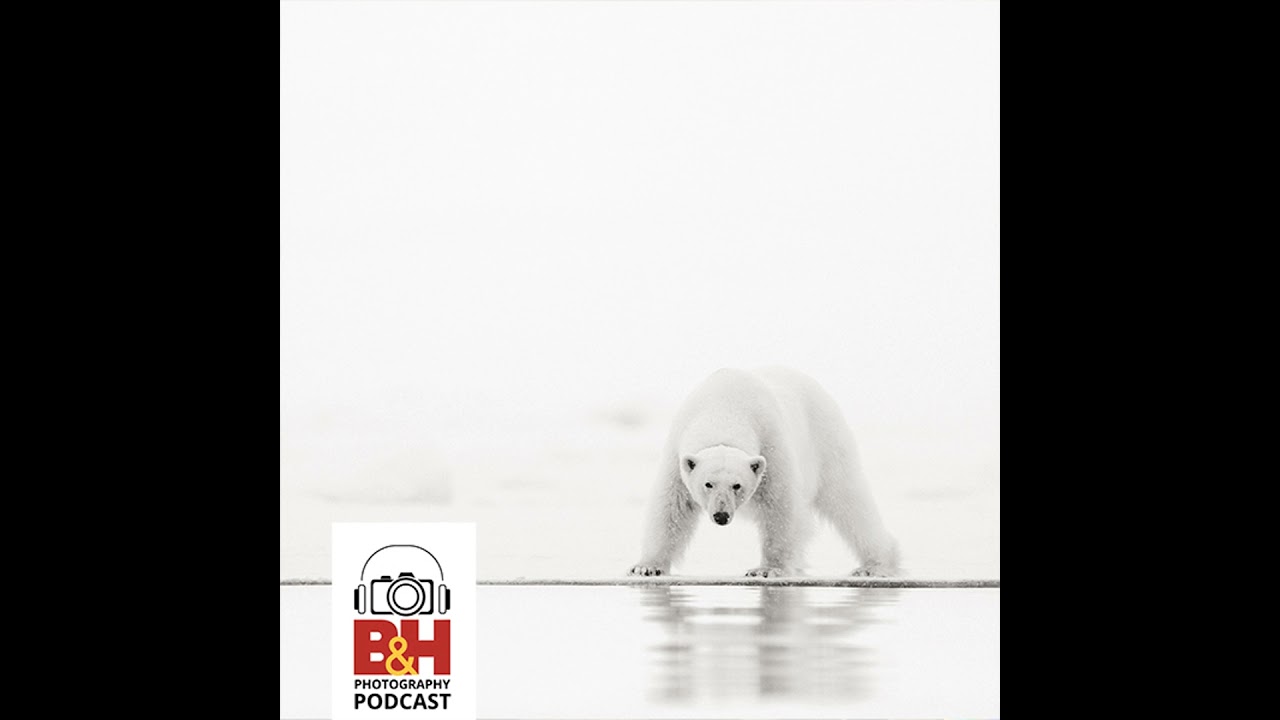 The Beauty & Impact of Polar Photography, with Acacia Johnson & Jonas Paurell