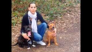 Mes Staffies 4
