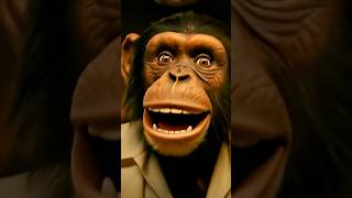 A Chimps Musical Journey Through The Ages