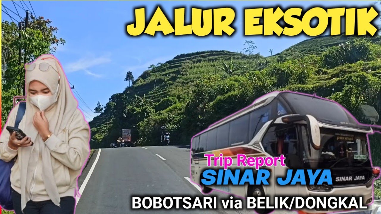 Paling COCOK berangkat Pagi,Jalur Eksotik Belik-Dongkal || trip report bus sinar jaya