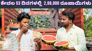 #watermelon in just 53 days | watermelon 🍉 harvesting | watermelon farming in Kannada