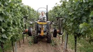 Stockmayer Leaf Remover (Twin) in Action 12