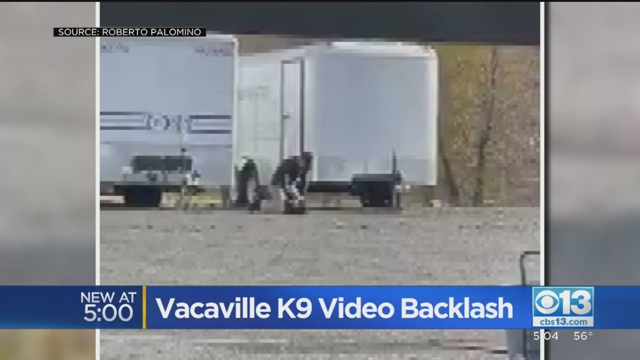 More Backlash Over Vacaville K9 Video