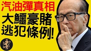 [Ray Regulus] 汽油彈真相  大鱷豪賭逃犯條例!