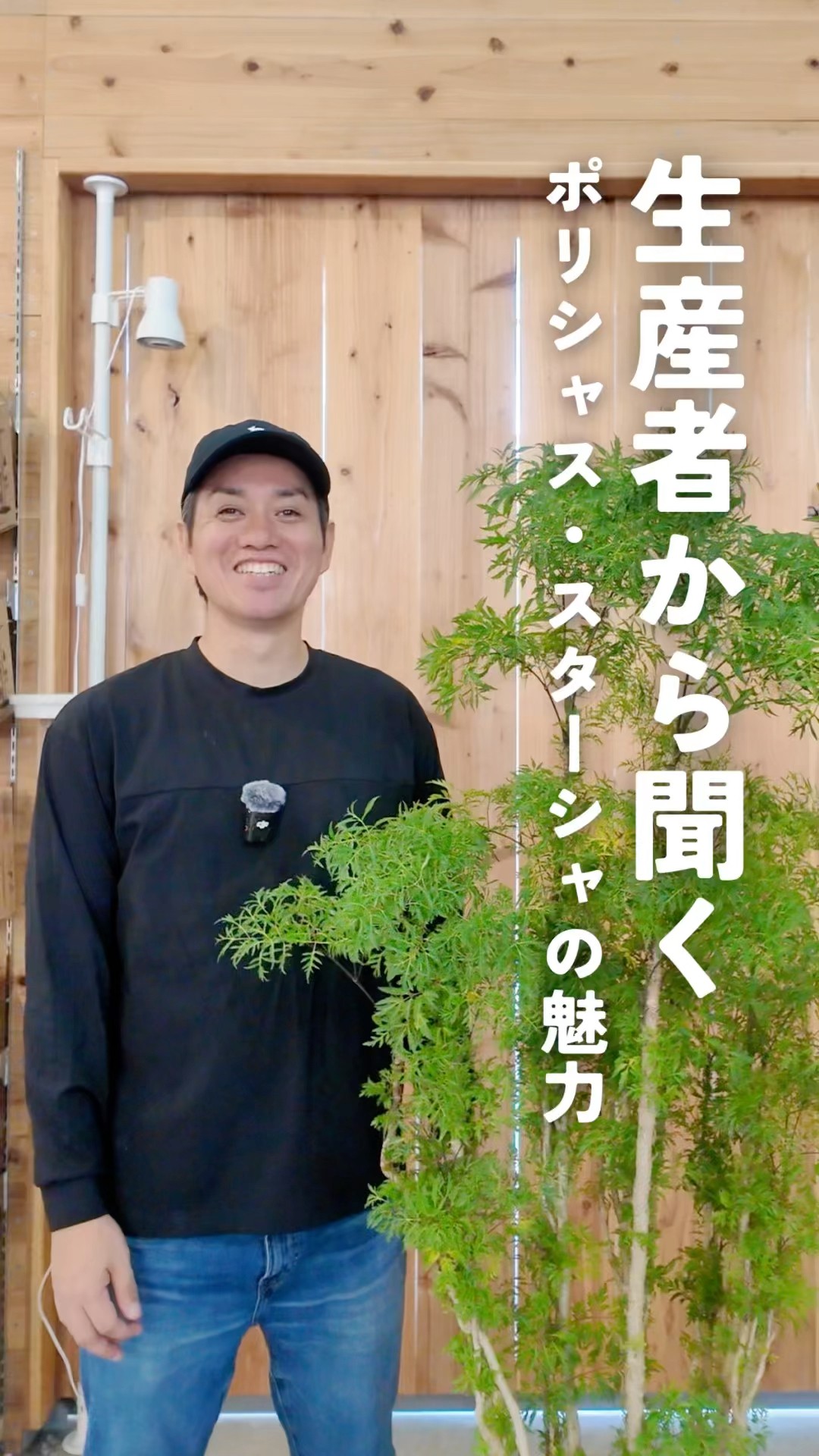 CD ポリシャス 全ての始まりの朝 From the producer] The appeal of Polyscias Stasha - YouTube
