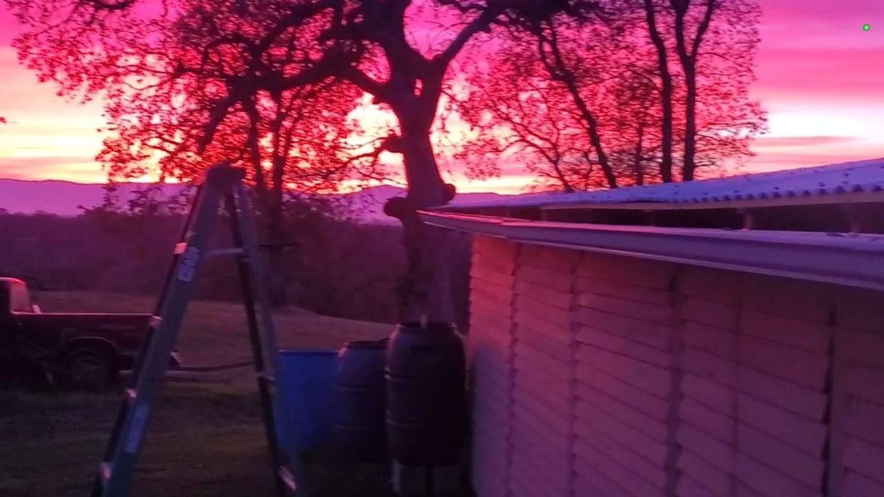 West run , built shed from blown down fence & tested bucket. Alot of lead.
