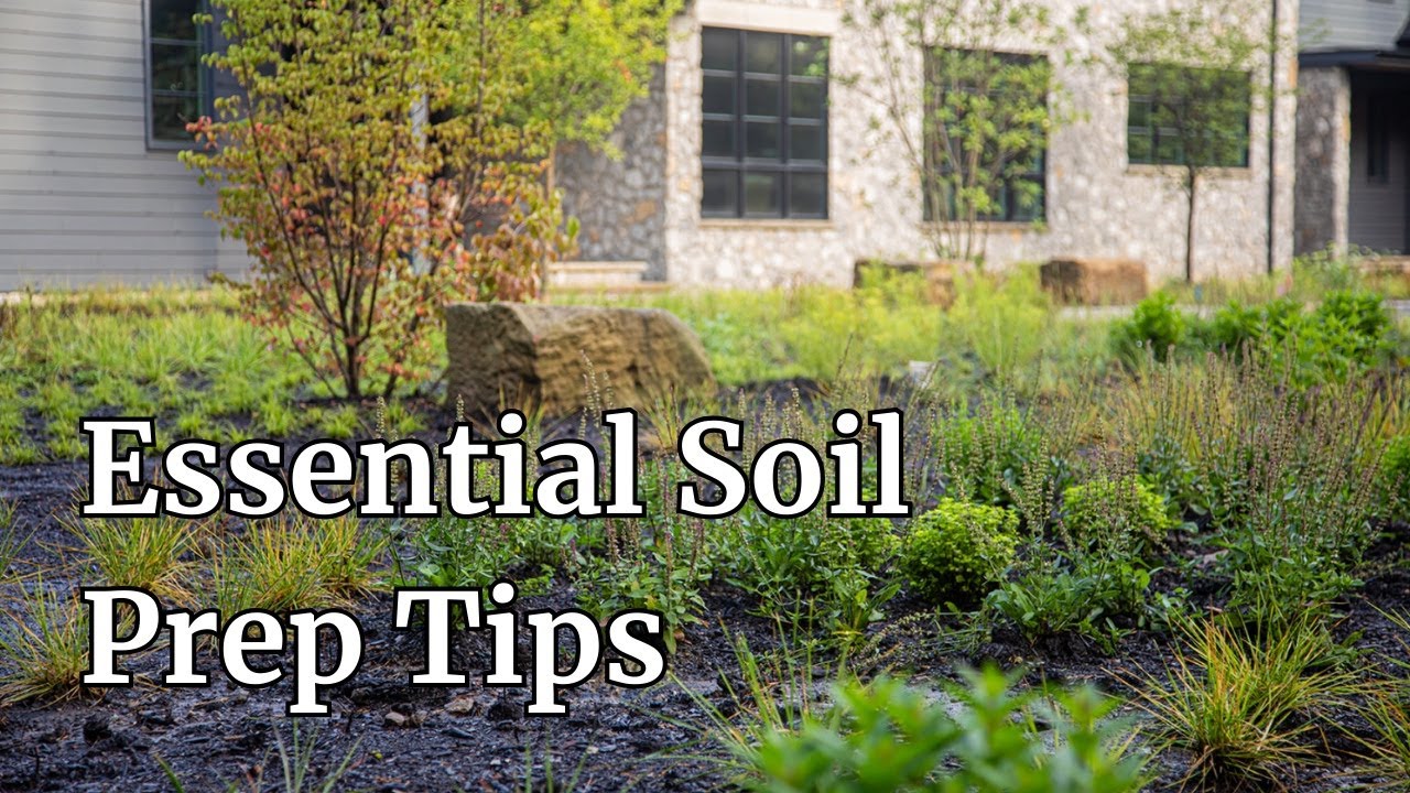 Preparing Soil for Successful Native Plants - YouTube