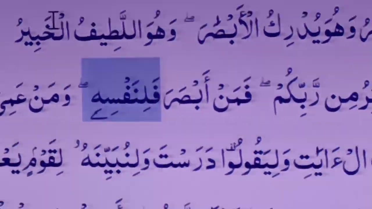 CAT miracles of the Quran   PART 6