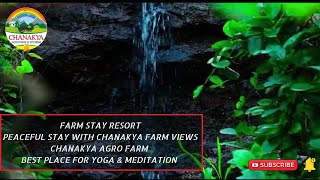 Forest Bathing Center In India Best Place For Yoga & Meditation
