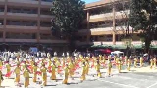 NCBA FAIRVIEW: Field demonstration (4th Year)