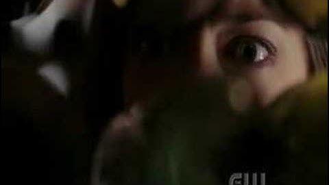 smallville - promise