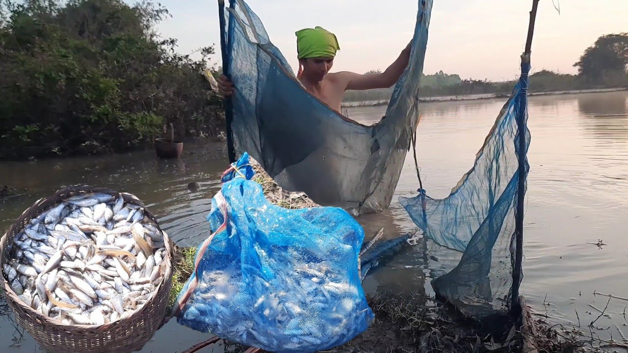   เอาที่ดักกุ้งมากั้นดักปลา ล้นตะกร้าจนต้องหาถุงมาใส่