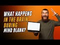 What Happens In The Brain During Mind Blank? #science #brain #neuroscience #mind #viralvideo