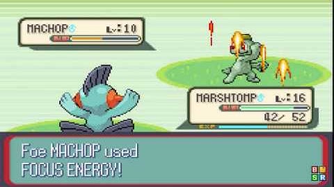 pokemon ruby-part 7 pokenav