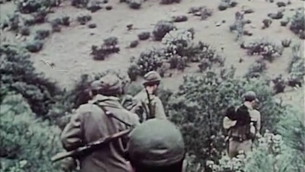 الذكرى المزدوجة لهجومات الشمال القسنطيني ومؤتمر الصومام: تجسيد لالتفاف الشعب  حول الثورة التحريرية