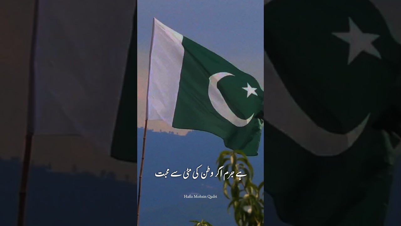 14 August Status | 14 August Capcut Template | Independence day status 2024