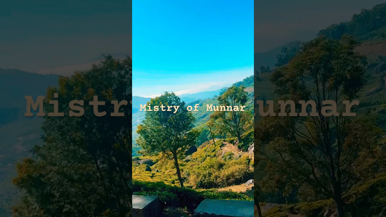 Vibe of Munnar …. My life in Munnar 