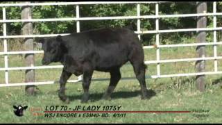 Janssen Farms The Chosen Few Sale Lot 70