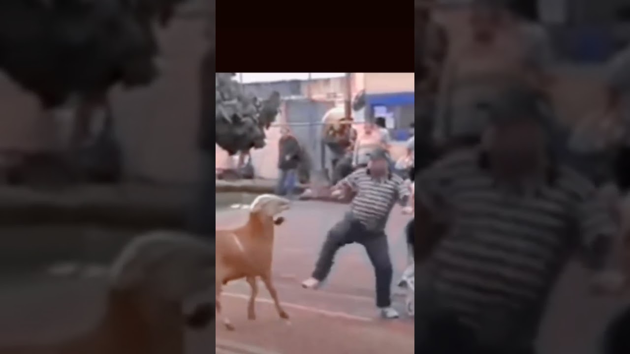 comedy vinod kon hai 😁😁