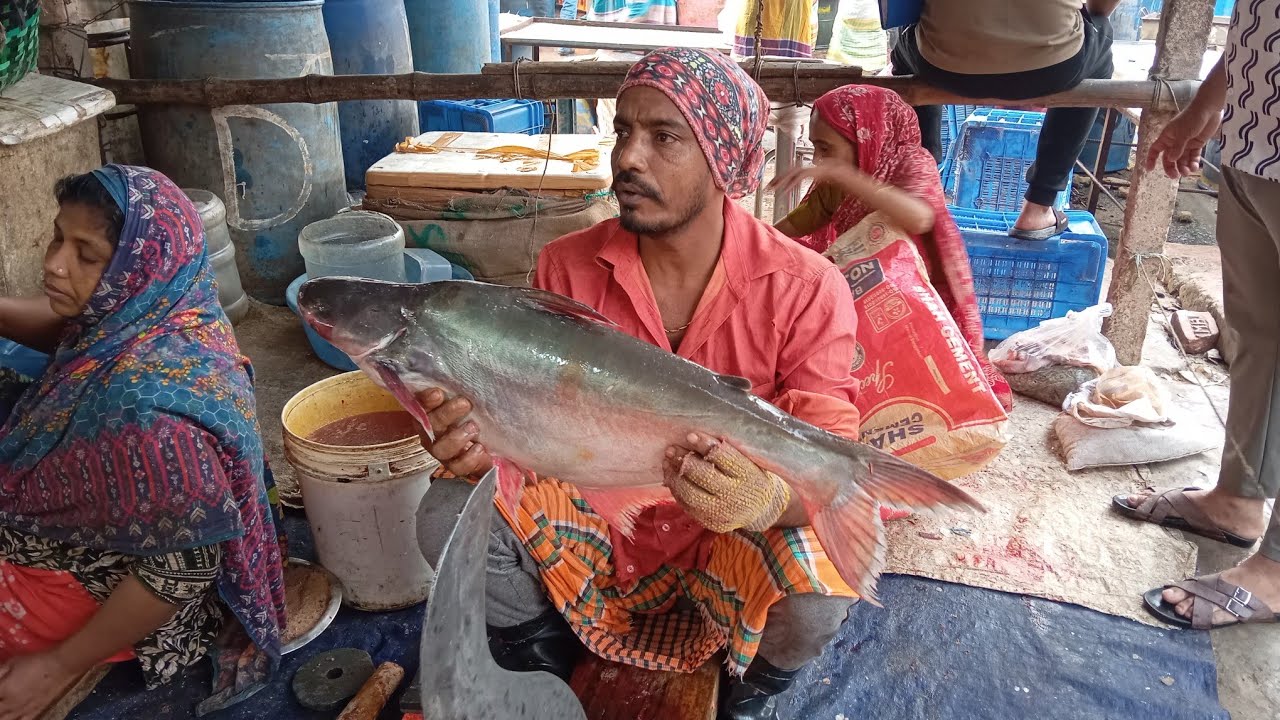 ASMR Giant Fish Cutting 