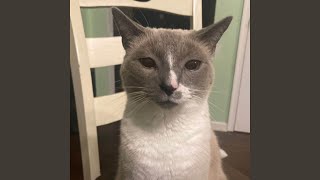 Download Lagu Wind MP3