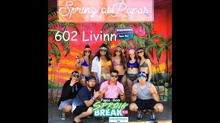 Spring Break 2019 / PAPAS AND BEER