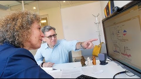 A Neuroscientist and an Economist Explore How Our Brains Seek Out Information