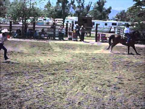 Rodeo Time :)