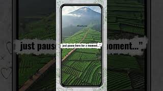 #15 You Deserve This Peace 🌅 | Nature ASMR Therapy #nature #asmr