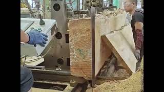 Giant Log Sawing Cutting Through The Largest Logs