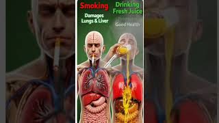 Smoking vs Fresh Juice: What Happens Inside Your Body? | Health Effects Explained (3D Animation)