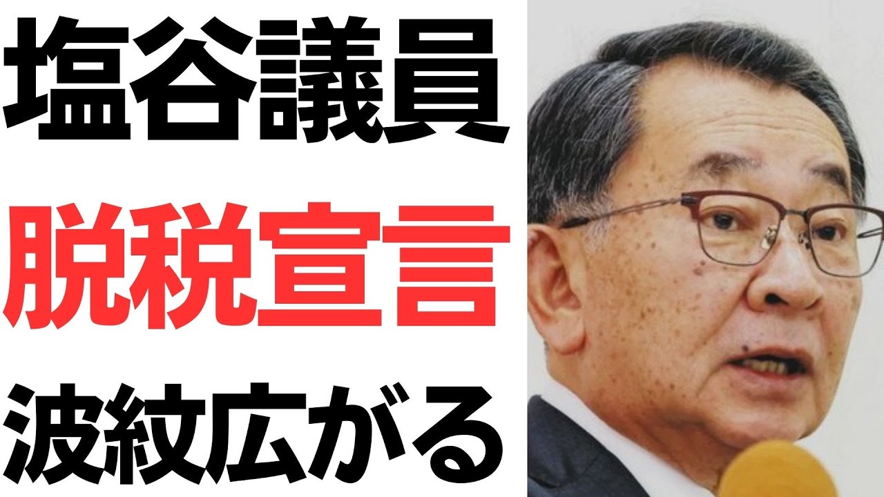 塩谷立氏の政治倫理審査会発言と納税をめぐる議論を扱う動画のサムネイル