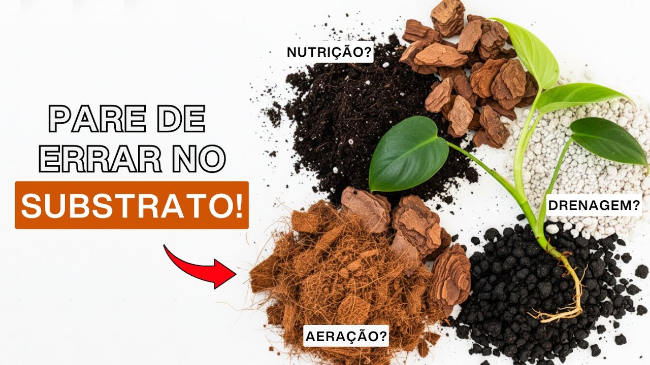 10 Tipos de Substrato para Você usar em Suas Plantas
