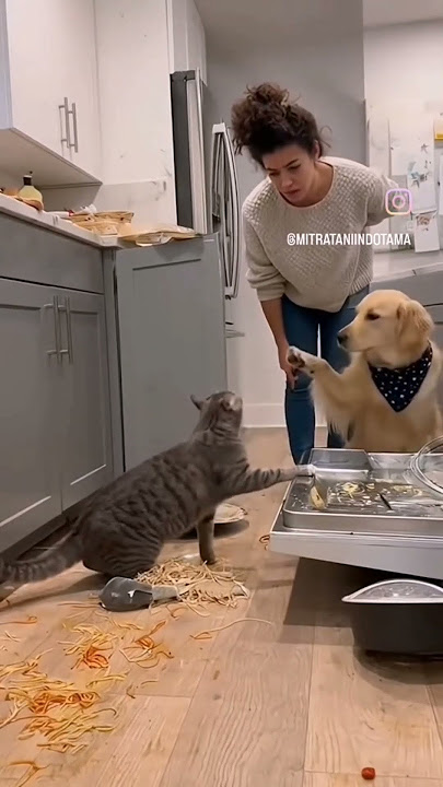 Men Kiyimingni yech videosini yoqotdim