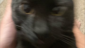 67 // 48 HR Randomized Color Palette Map // CLOSED!