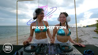 PIXIE KITTEN | House Mix | Miami