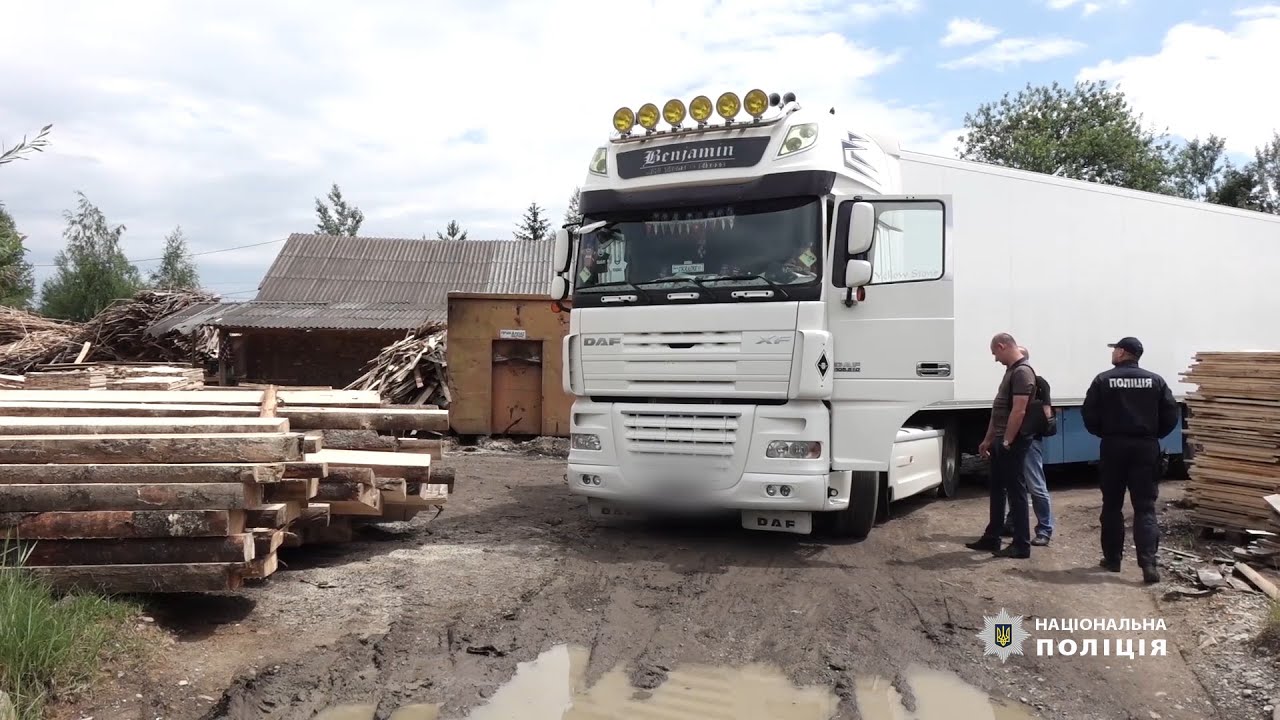 Поліцейські Івано Франківщини провели масові обшуки  у справі про незаконну вирубку лісу