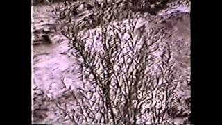 Flood of 1994